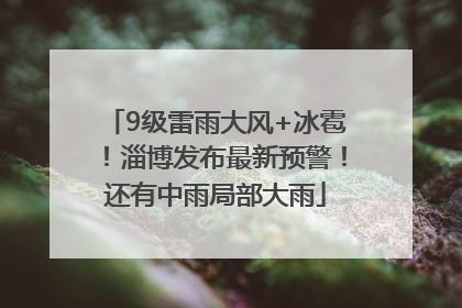 9级雷雨大风+冰雹！淄博发布最新预警！还有中雨局部大雨