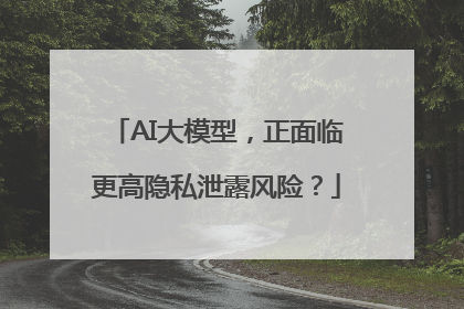 AI大模型，正面临更高隐私泄露风险？