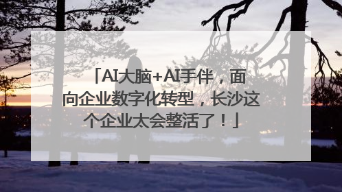 AI大脑+AI手伴，面向企业数字化转型，长沙这个企业太会整活了！