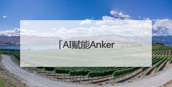 AI赋能Anker SOLIX，在技术无人区探索与突破
