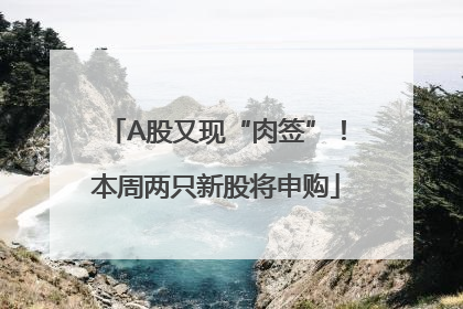 A股又现“肉签”！本周两只新股将申购